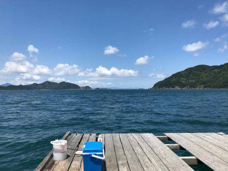 小浜の筏でアジ。ハマチ痛恨のバラシ