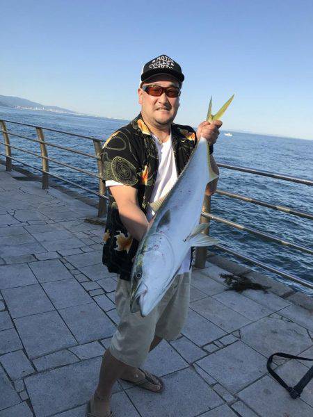 翼港で初のブリ