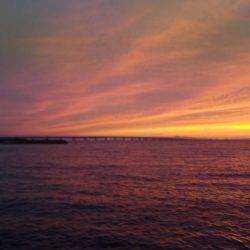 本命はどこに??