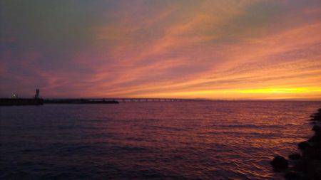 本命はどこに??