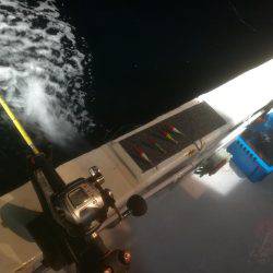 イカ釣り体験にて