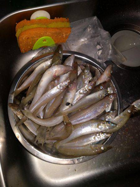 真夜中からの釣行