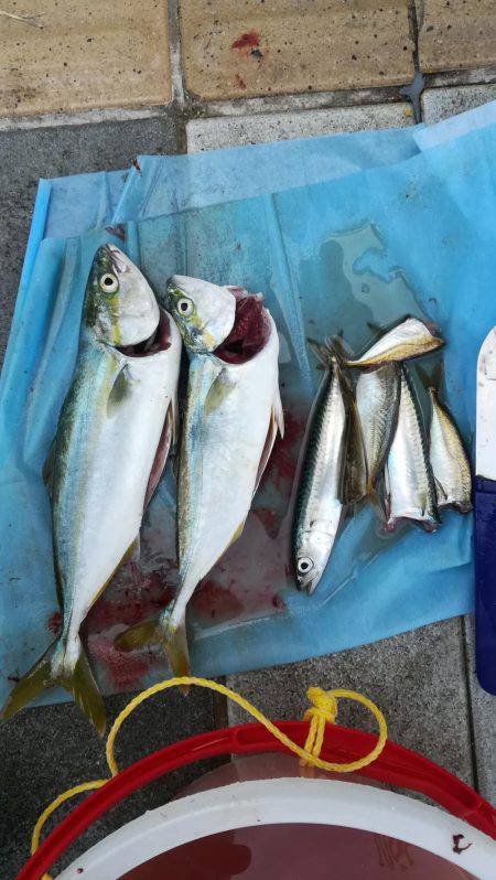 ツバス祭りです！