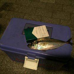 爆風後になんとかキャッチ