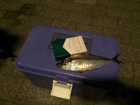 爆風後になんとかキャッチ