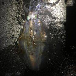 強風で夜まで我慢の釣り