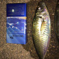 強風の中で……