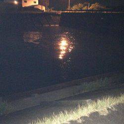 ゴミだらけでもいました。