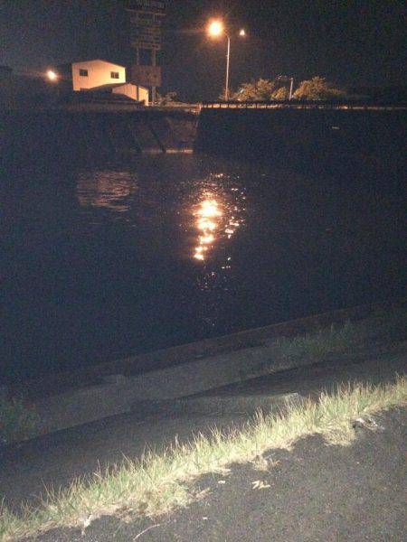 ゴミだらけでもいました。