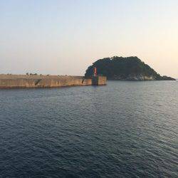 アジ釣り⑨ 撃沈