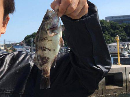 師崎ちょい投げ