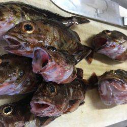 エギング、穴釣り