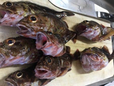 エギング、穴釣り