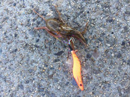 久しぶりに、、。