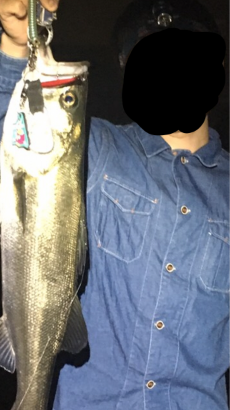 バチパターンまだまだいけます