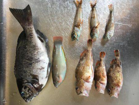 根本にかけておくと…