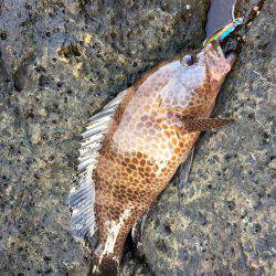 オオモンゲーム