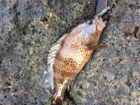 オオモンゲーム