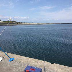 メゴチ　ギンポ　アナゴ