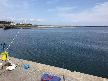 メゴチ　ギンポ　アナゴ