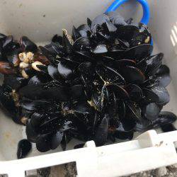 珍しいカンダイ！