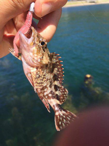 BBQついでにー♪