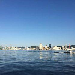 サビキの始まり