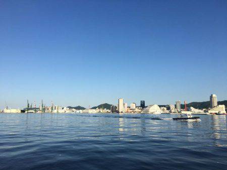 サビキの始まり