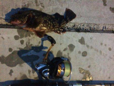 西風ポイントにて