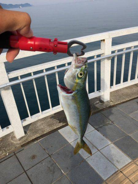 エソと思いきや