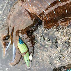 ２キロアップ！