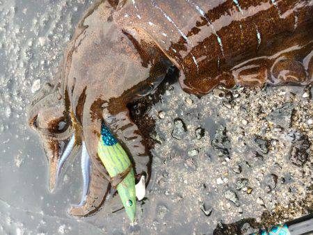 ２キロアップ！