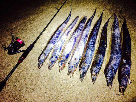 夕マヅメの太刀魚