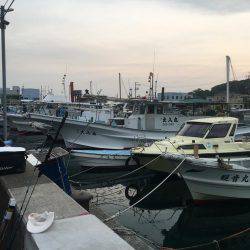 第八丸で五目釣り