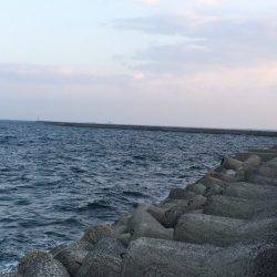 出勤前にツバス