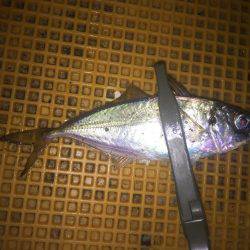 リバーアジング