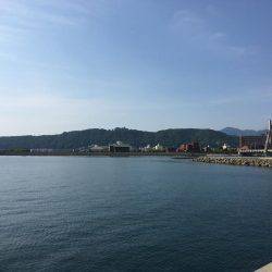 サイズ的にはまだ早いようです。