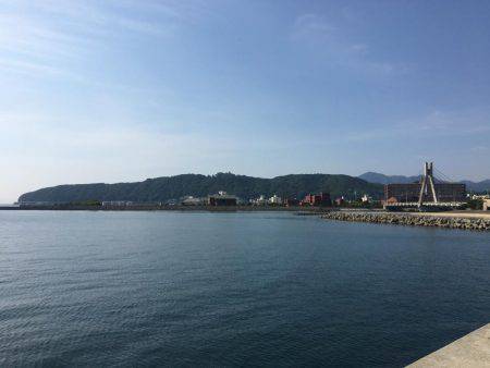 サイズ的にはまだ早いようです。