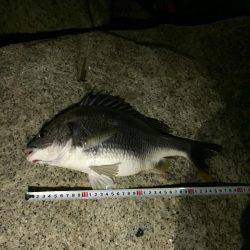 仕事帰りチニング