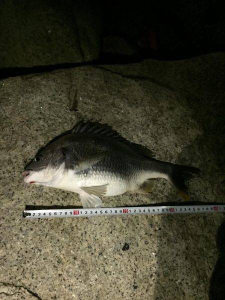 仕事帰りチニング