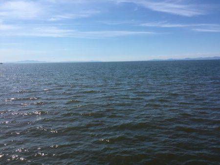 ツバス情報を見て出かけました。