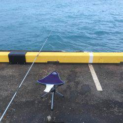 南の島に遠征！