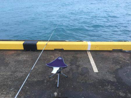 南の島に遠征！