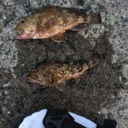 ガシラマンション