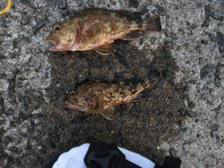 ガシラマンション