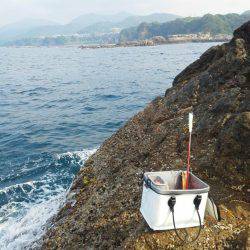 シマアジ・・・・グレ・・・・