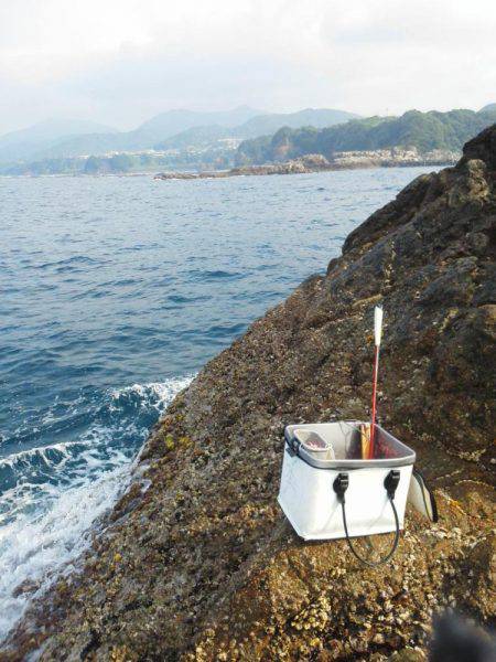 シマアジ・・・・グレ・・・・