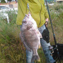 朝マズメ　ジギング