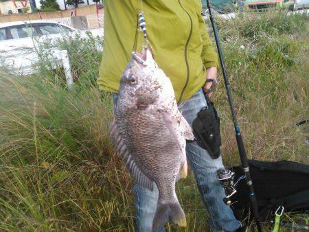 朝マズメ　ジギング