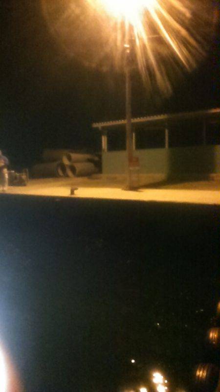 サビキ釣りで子アジ狙い